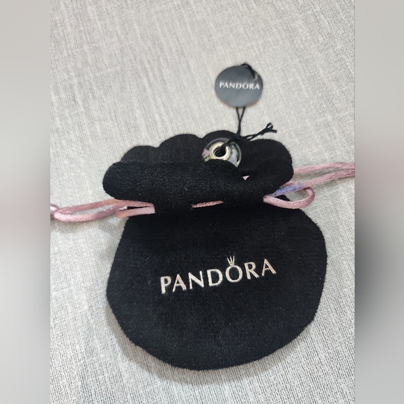 🩵 SOLD!! 🛎 Pandora Pouch - Picture 2 of 2